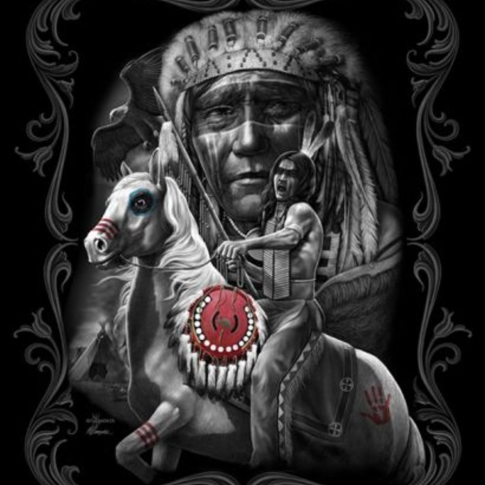 Defiance Special Edition luxury queen blanket 4-5LBS NWT by DGA